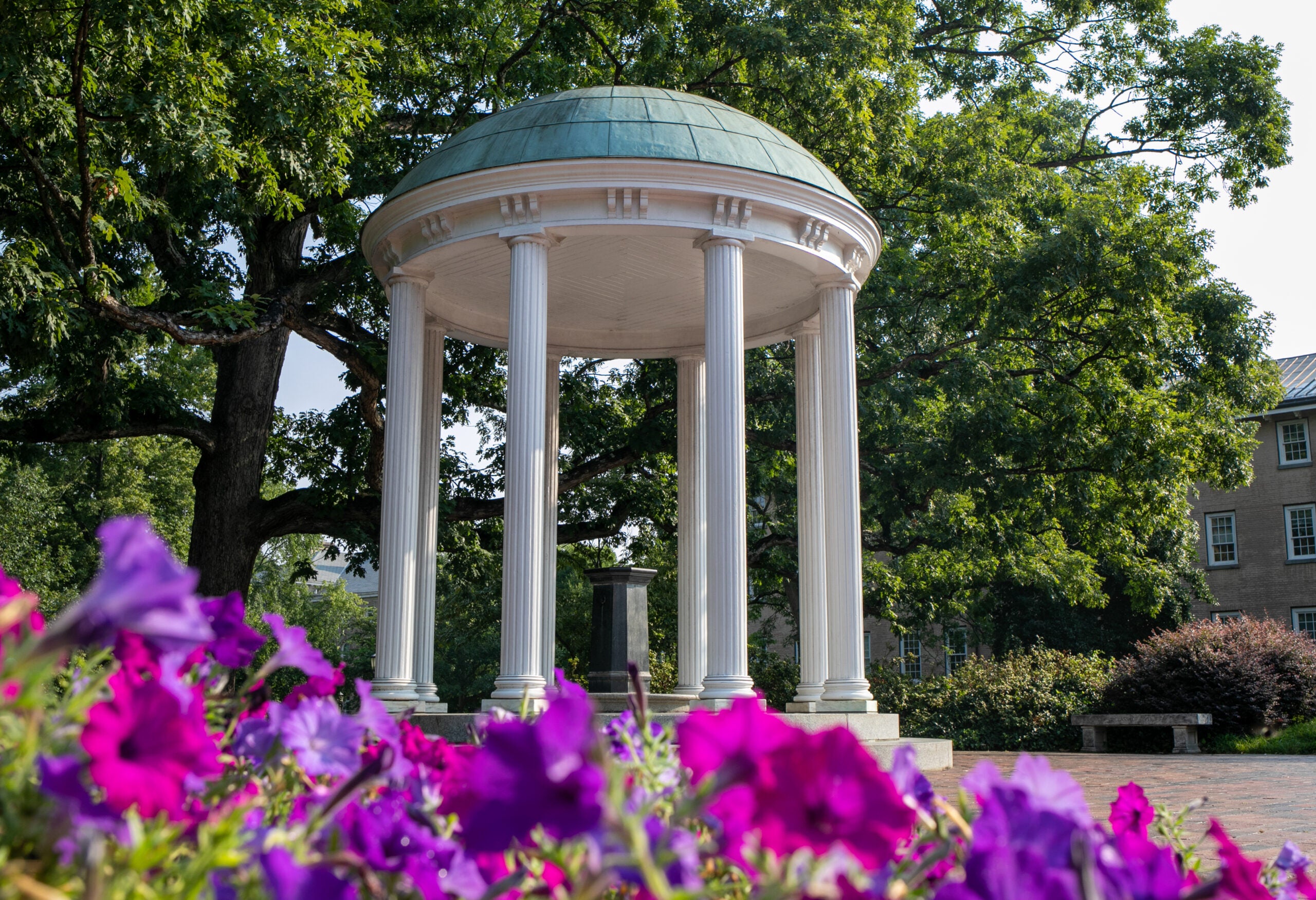 OldWellSummer21_DesktopZoom