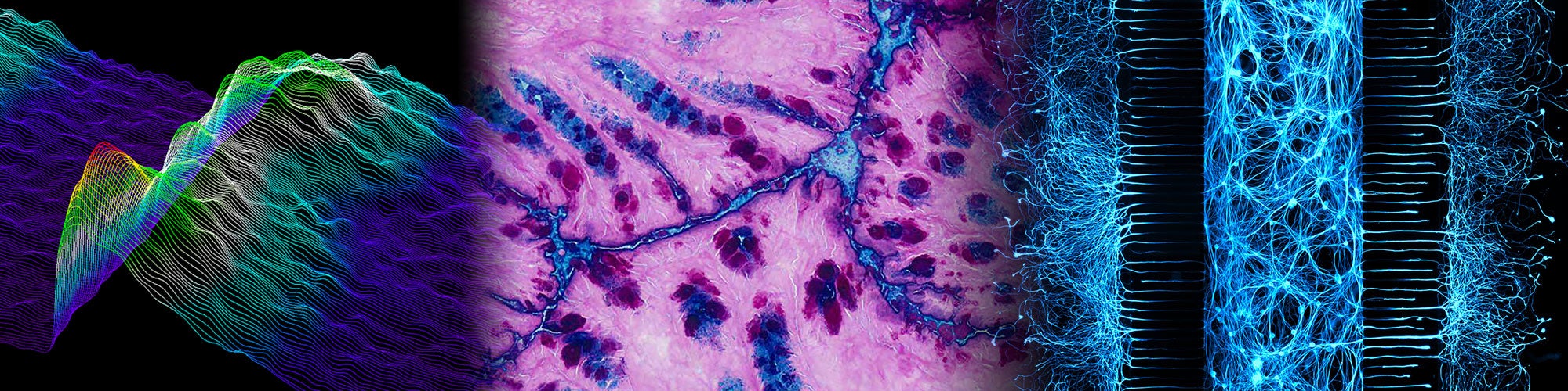 Banner collage highlighting research