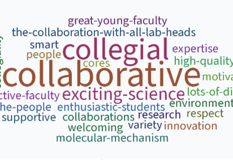 word-cloud-for-biochemistry-and-biophysics